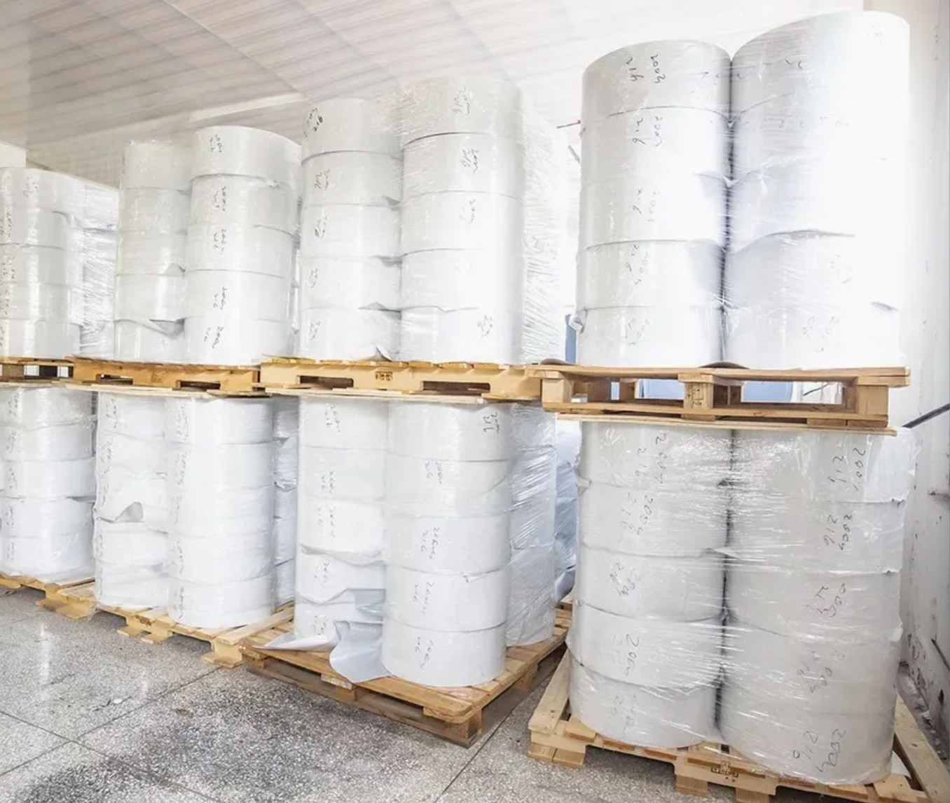 QQ1766538372691 QQ1766538372691